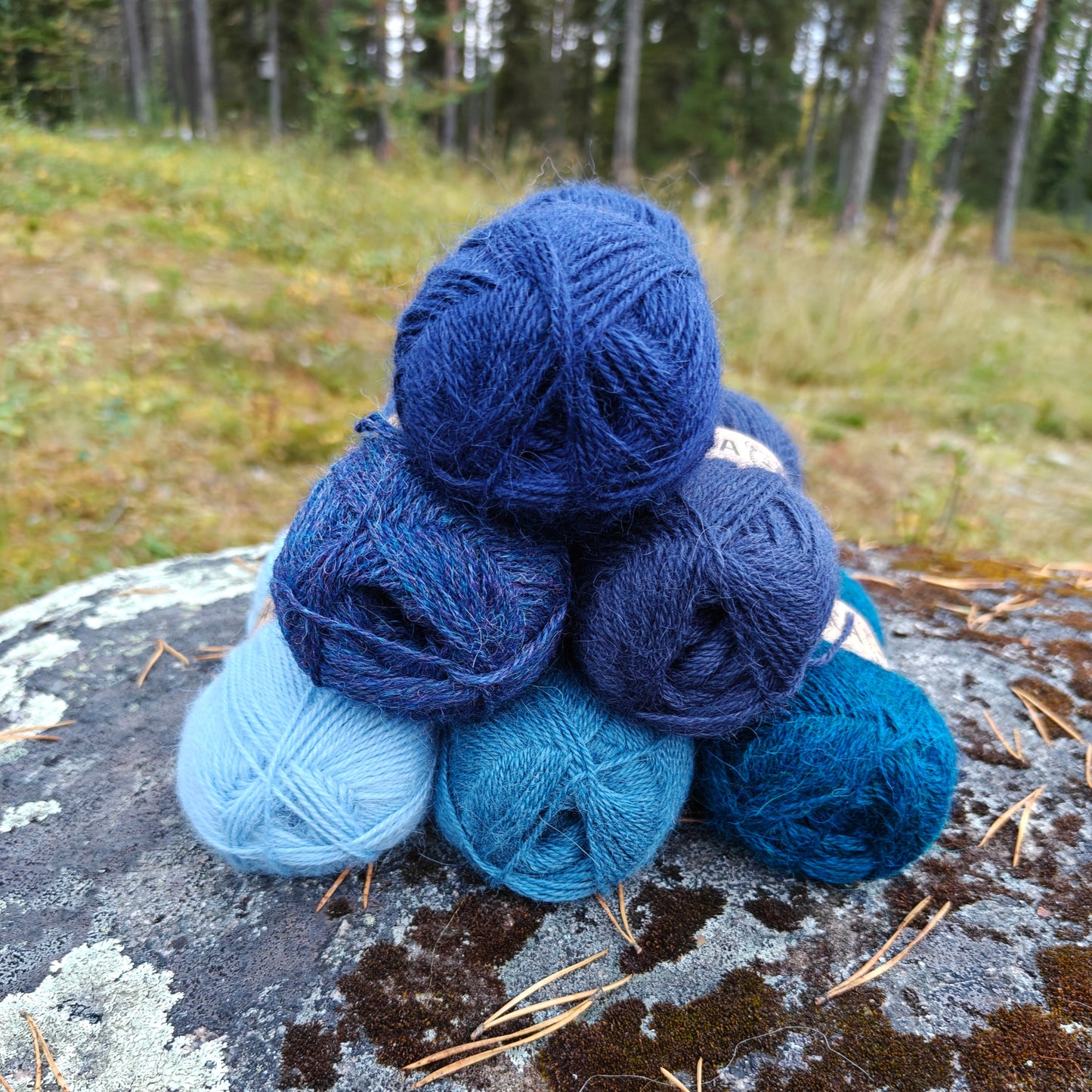 DROPS Alpaca, Farkunsininen, 6309