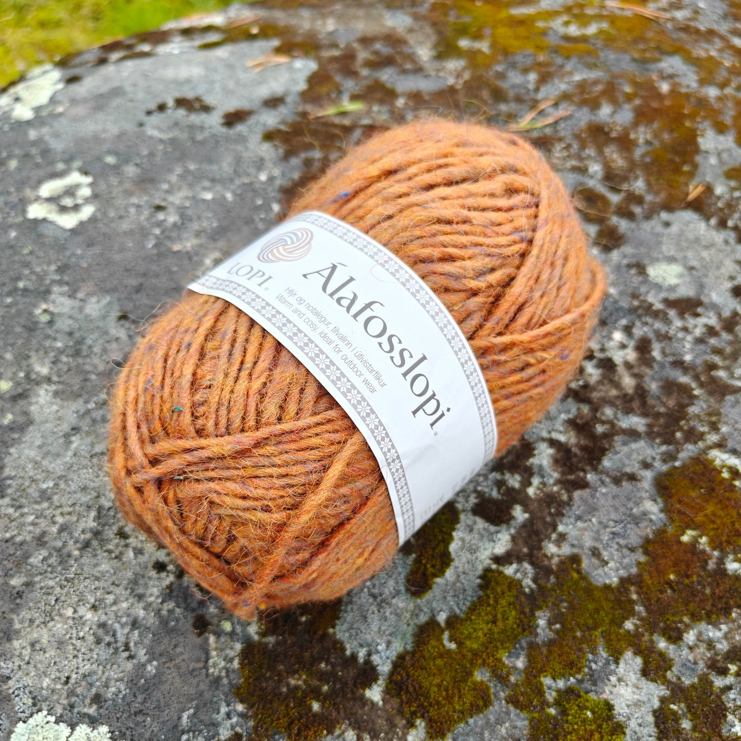 Istex Alafosslopi, Meripihka, 9971